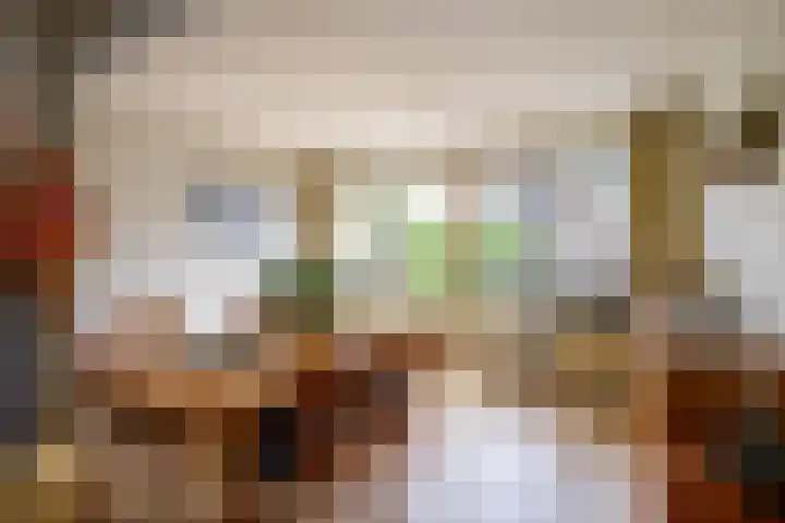 Kamerlingh Onnessingel 44 Lekkerkerk thumbnail 12
