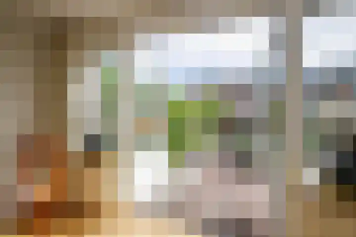 Kamerlingh Onnessingel 44 Lekkerkerk thumbnail 13