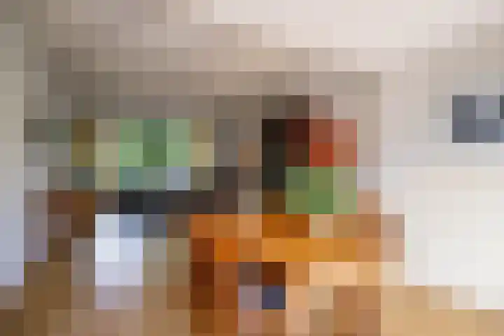 Kamerlingh Onnessingel 44 Lekkerkerk thumbnail 14