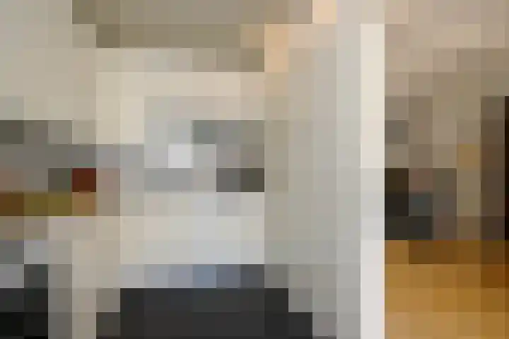 Kamerlingh Onnessingel 44 Lekkerkerk thumbnail 15