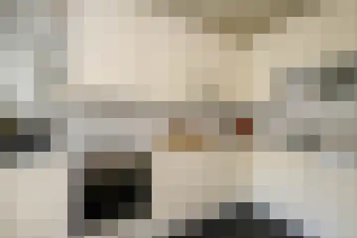 Kamerlingh Onnessingel 44 Lekkerkerk thumbnail 16