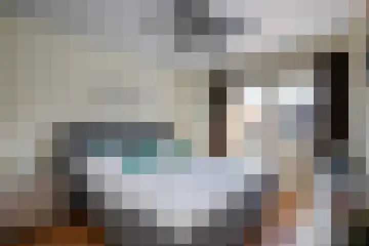 Kamerlingh Onnessingel 44 Lekkerkerk thumbnail 20