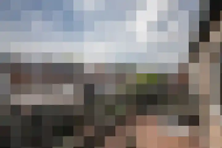 Kamerlingh Onnessingel 44 Lekkerkerk thumbnail 22
