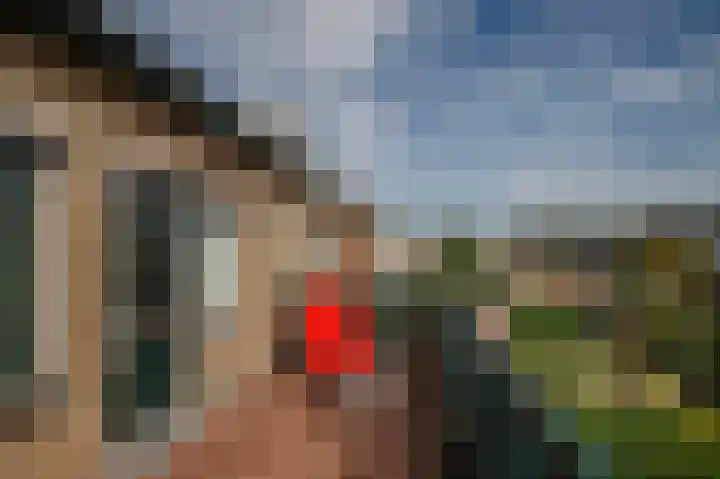 Kamerlingh Onnessingel 44 Lekkerkerk thumbnail 23