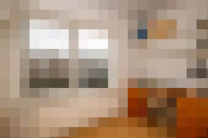 Kamerlingh Onnessingel 44 Lekkerkerk thumbnail 24