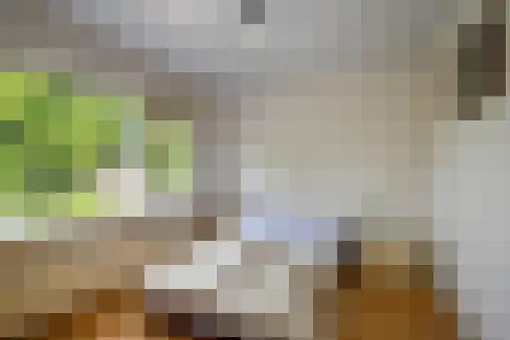 Kamerlingh Onnessingel 44 Lekkerkerk thumbnail 25