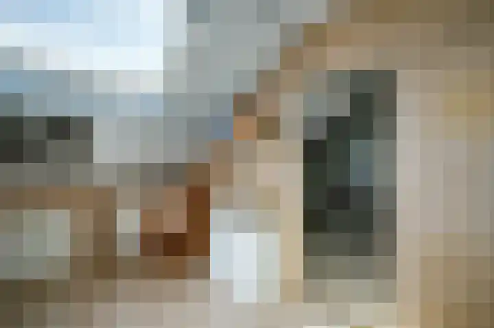 Kamerlingh Onnessingel 44 Lekkerkerk thumbnail 27