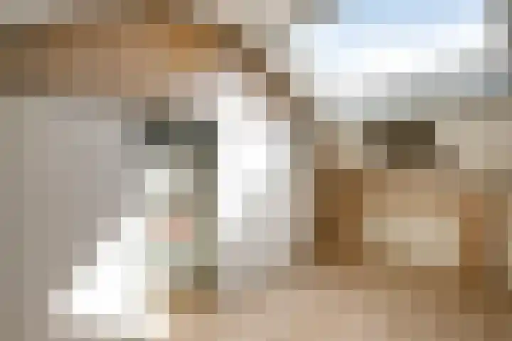 Kamerlingh Onnessingel 44 Lekkerkerk thumbnail 28