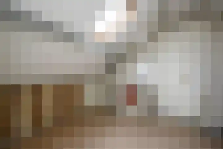 Kamerlingh Onnessingel 44 Lekkerkerk thumbnail 29