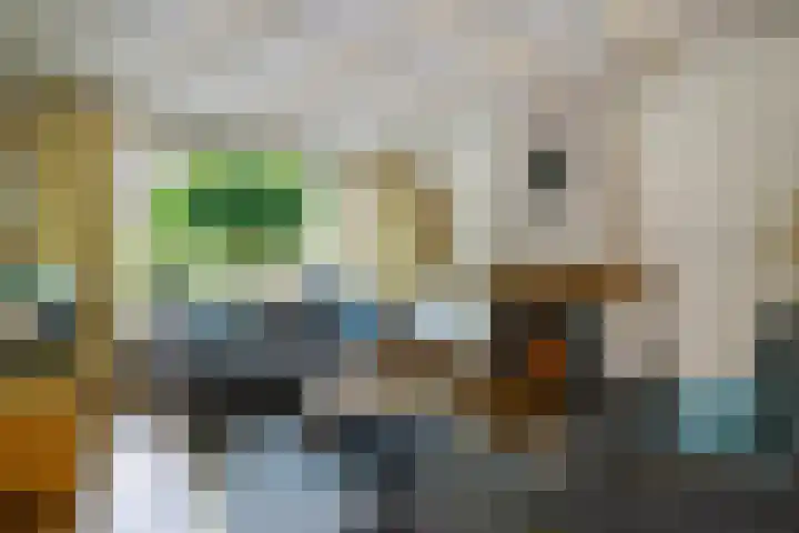 Kamerlingh Onnessingel 44 Lekkerkerk foto 3