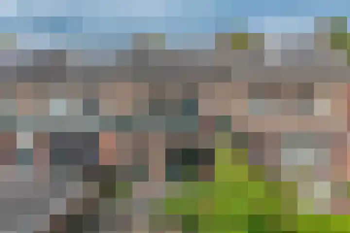 Kamerlingh Onnessingel 44 Lekkerkerk thumbnail 31