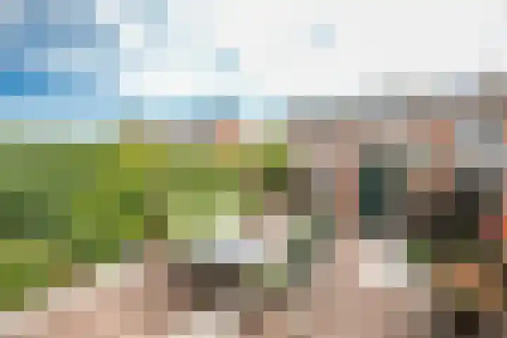 Kamerlingh Onnessingel 44 Lekkerkerk thumbnail 33