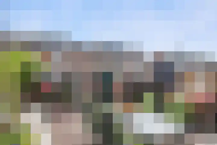Kamerlingh Onnessingel 44 Lekkerkerk thumbnail 34
