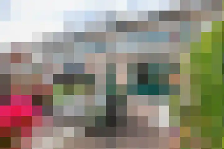 Kamerlingh Onnessingel 44 Lekkerkerk thumbnail 35