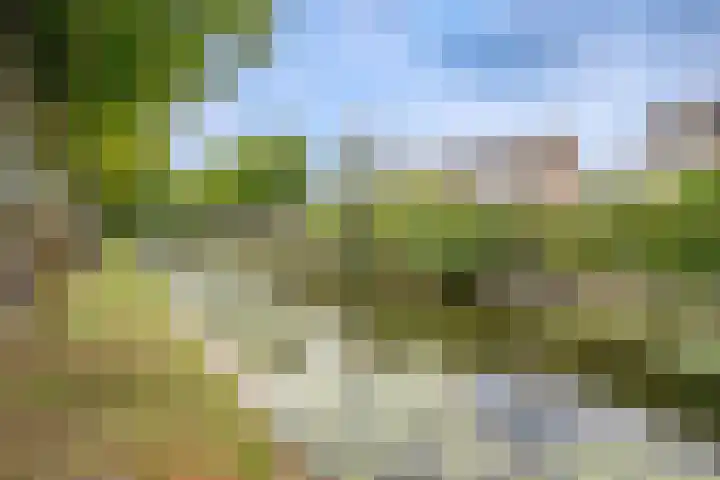 Kamerlingh Onnessingel 44 Lekkerkerk thumbnail 4