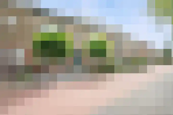 Kamerlingh Onnessingel 44 Lekkerkerk thumbnail 5