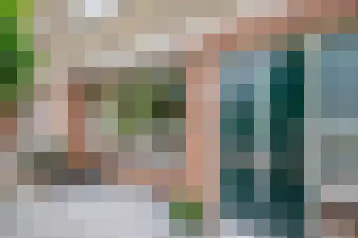 Kamerlingh Onnessingel 44 Lekkerkerk thumbnail 6