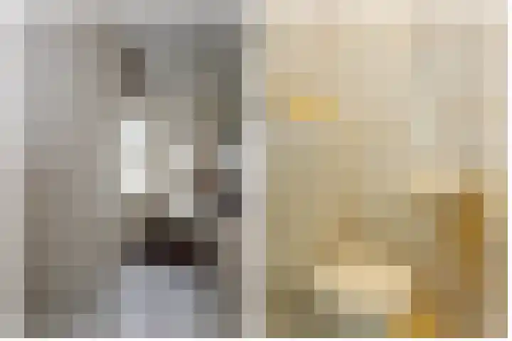 Kamerlingh Onnessingel 44 Lekkerkerk thumbnail 7