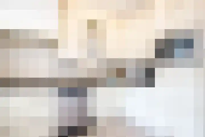 Kamerlingh Onnessingel 52 Lekkerkerk thumbnail 16