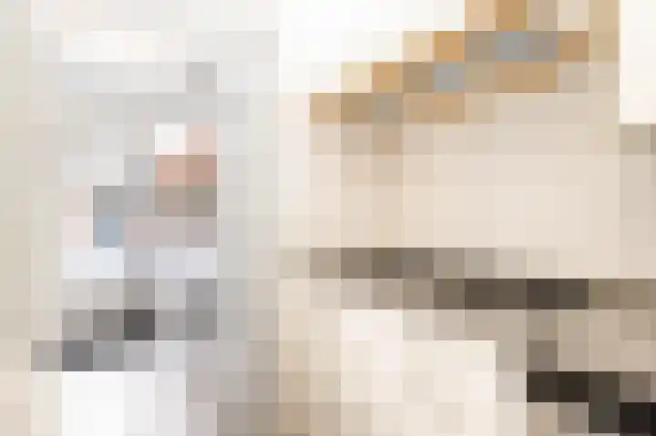 Kamerlingh Onnessingel 52 Lekkerkerk thumbnail 17
