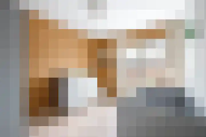 Kamerlingh Onnessingel 52 Lekkerkerk thumbnail 19