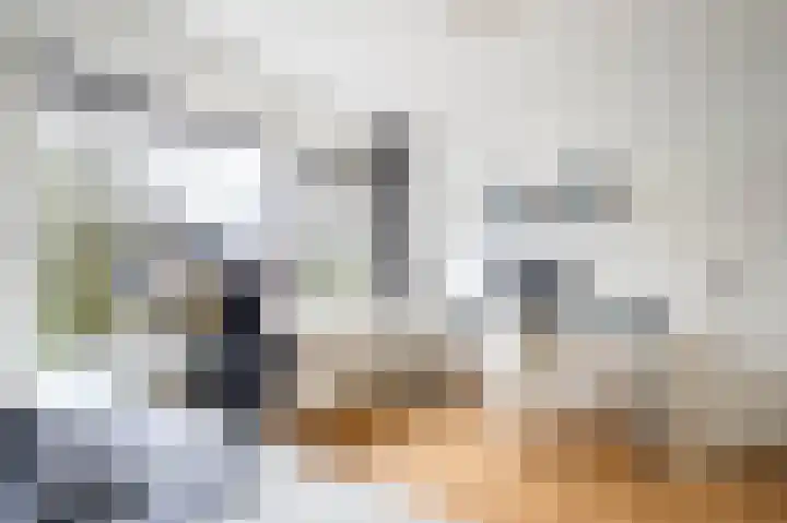 Kamerlingh Onnessingel 52 Lekkerkerk thumbnail 21