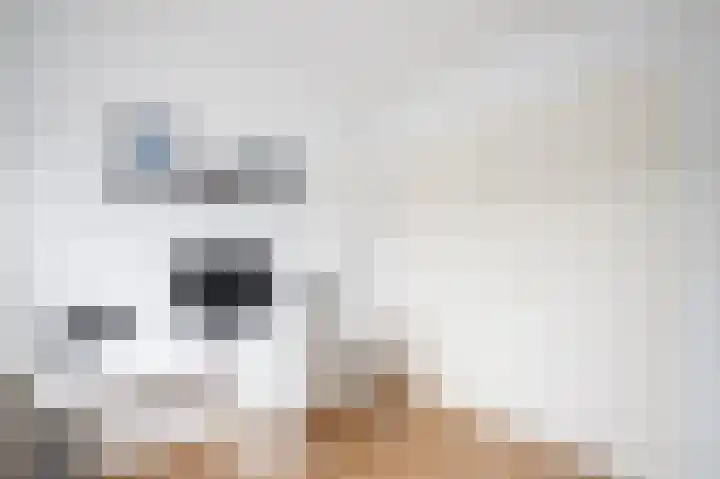 Kamerlingh Onnessingel 52 Lekkerkerk thumbnail 22