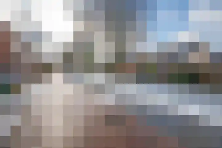 Kamerlingh Onnessingel 52 Lekkerkerk thumbnail 34