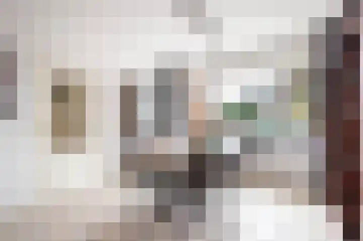 Kamerlingh Onnessingel 52 Lekkerkerk thumbnail 9