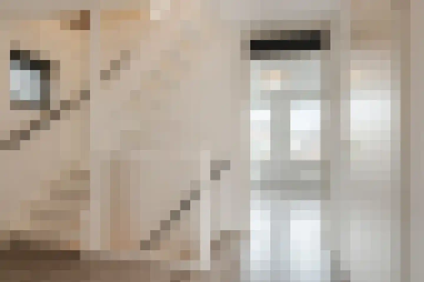Kamerlingh Onnesstraat 1 Rijnsburg thumbnail 24