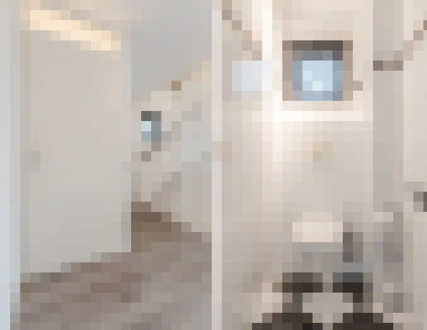 Kamerlingh Onnesstraat 1 Rijnsburg thumbnail 26
