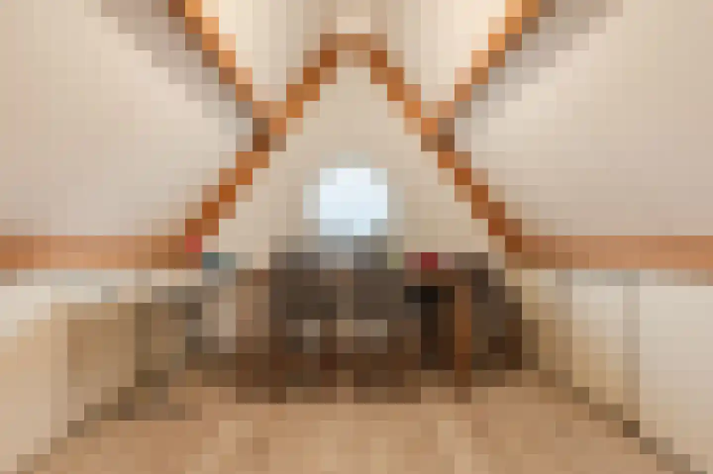 Kamerlingh Onnesstraat 1 Rijnsburg thumbnail 37