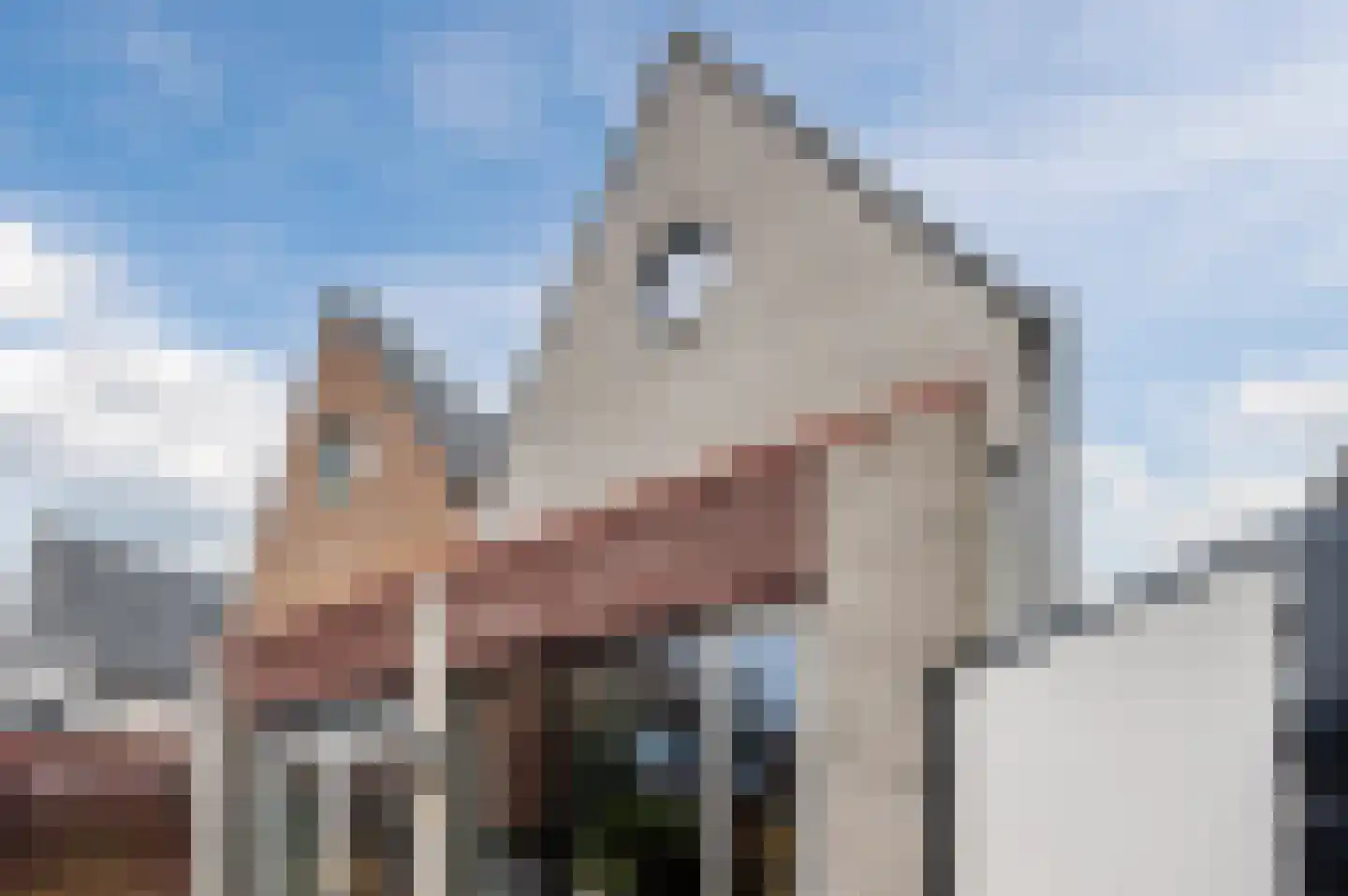 Kamerlingh Onnesstraat 1 Rijnsburg thumbnail 44
