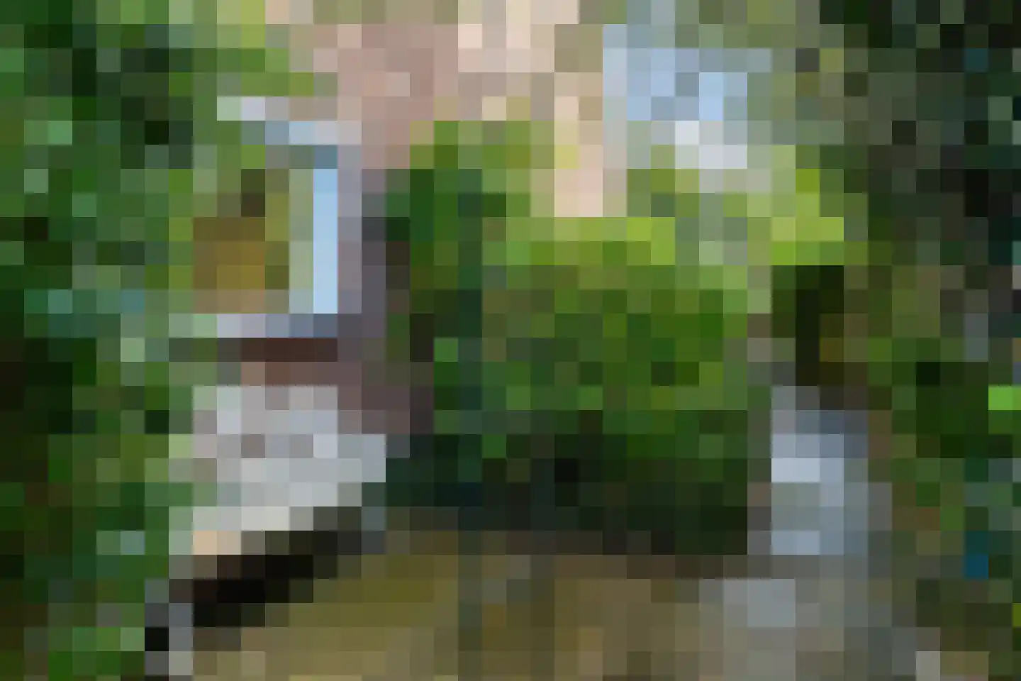 Kamerlingh Onnesstraat 10 Apeldoorn thumbnail 18