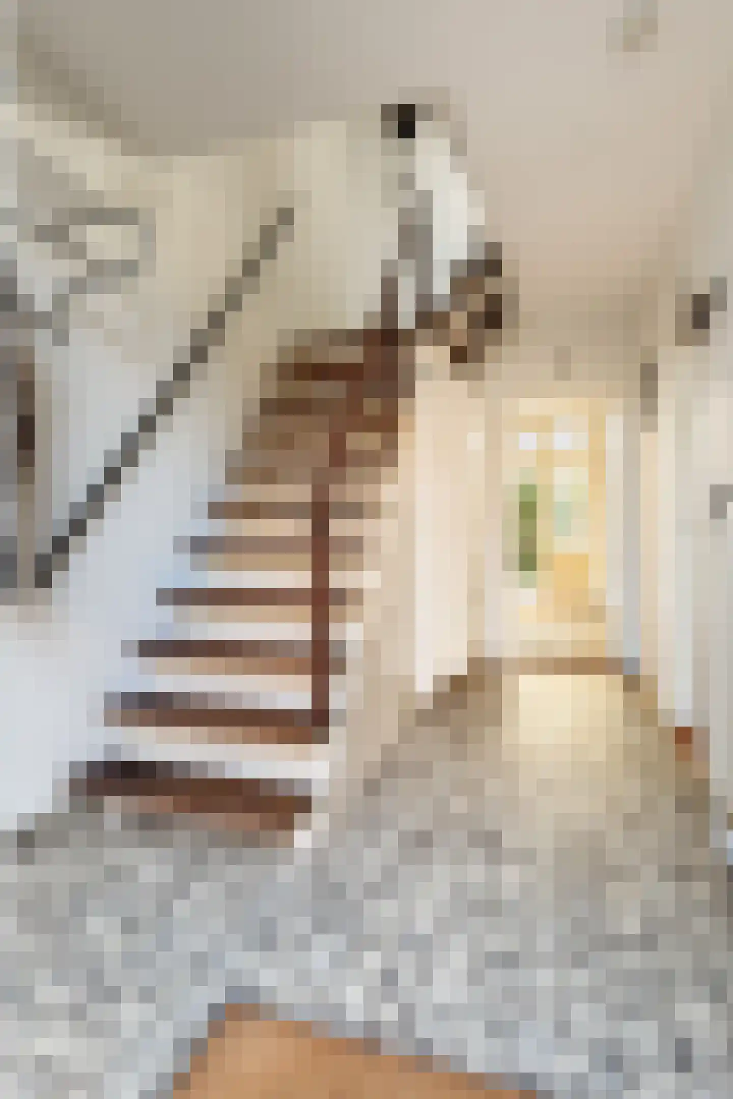 Kamerlingh Onnesstraat 10 Apeldoorn thumbnail 23