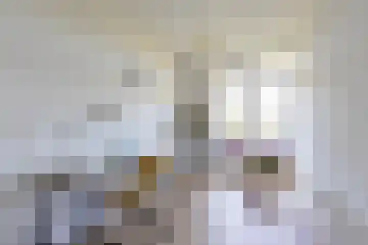 Kamerlingh Onnesstraat 109 Groningen thumbnail 18