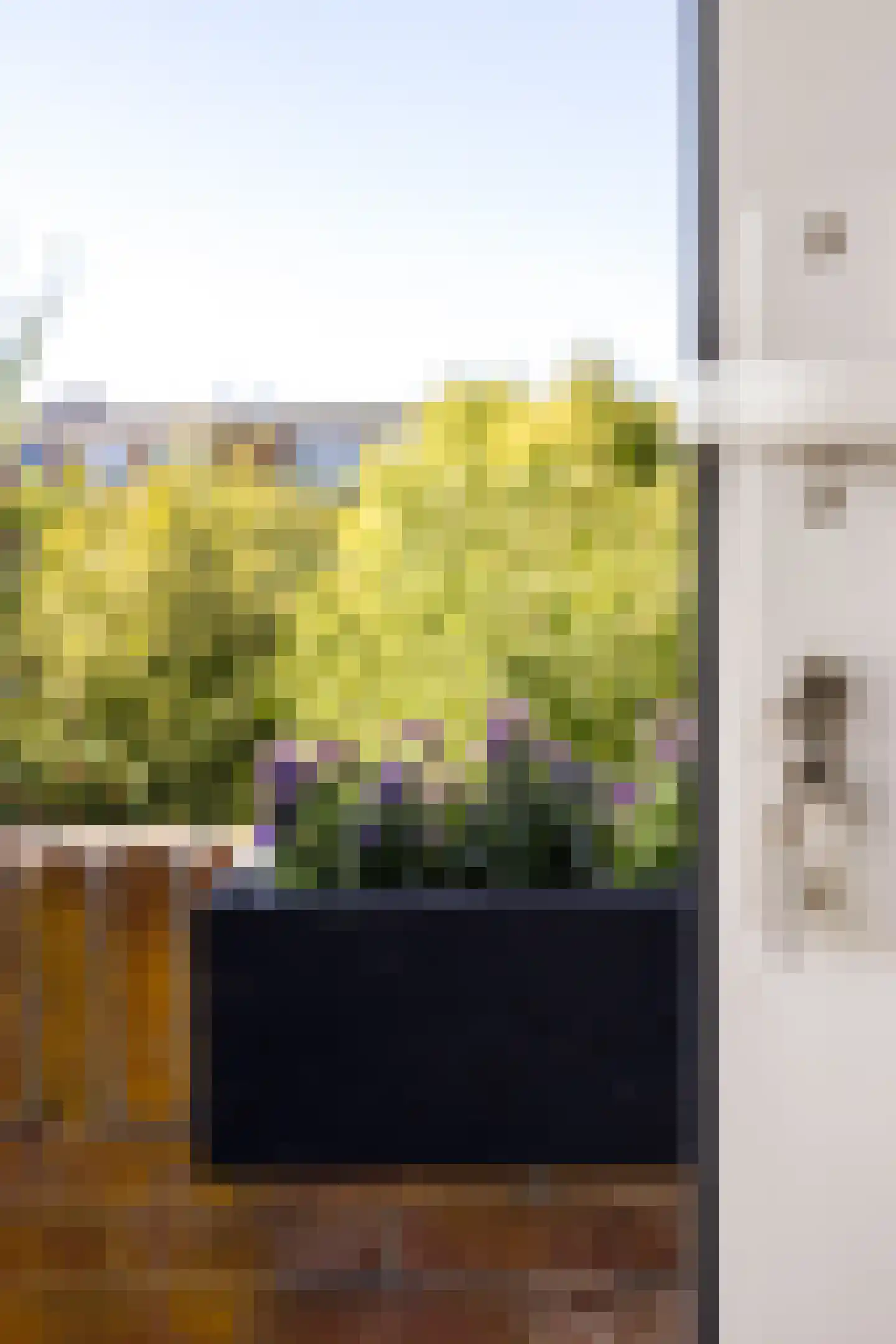 Kamerlingh Onnesstraat 109 Groningen thumbnail 32