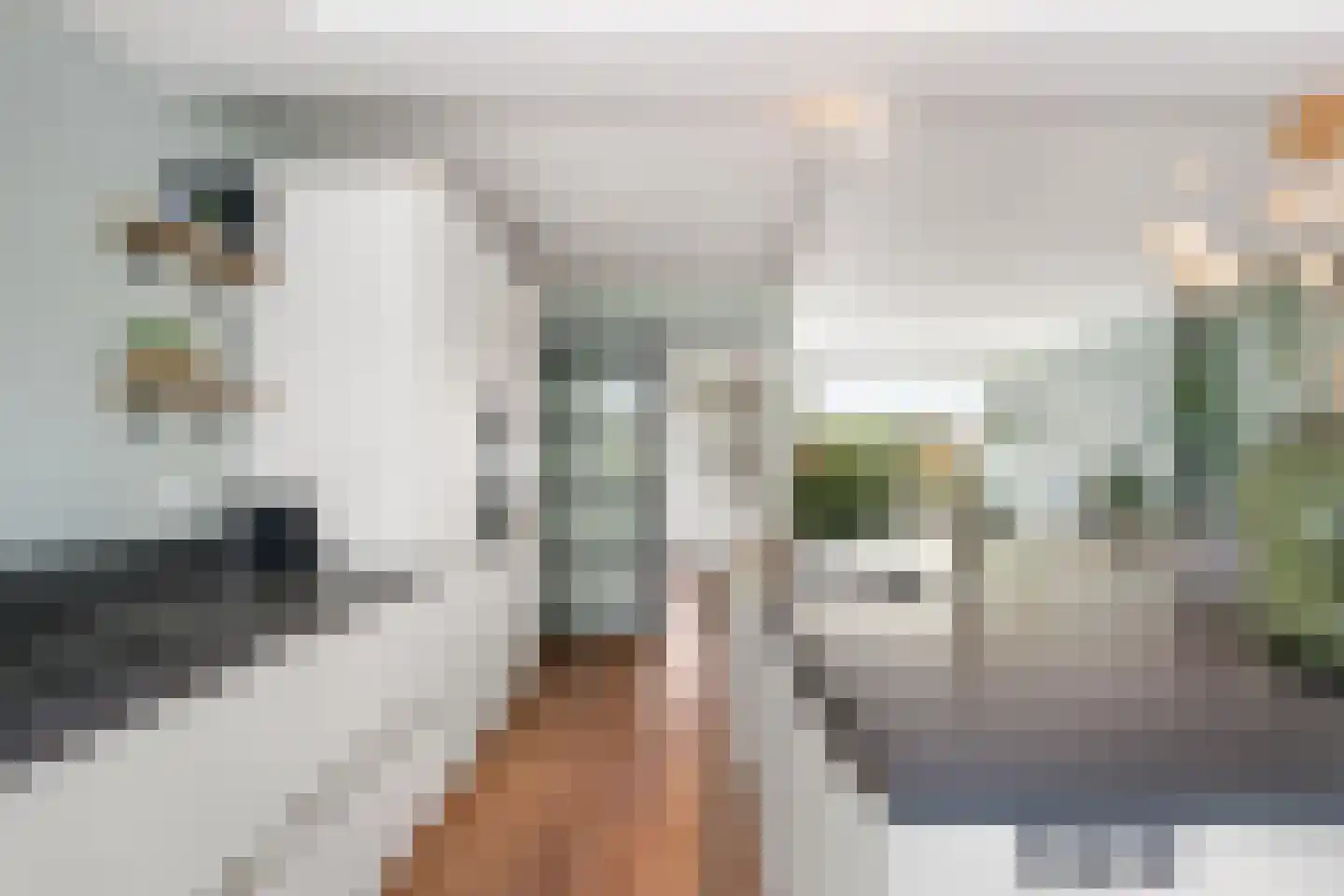 Kamerlingh Onnesstraat 11 Nieuwerkerk aan den IJssel thumbnail 11