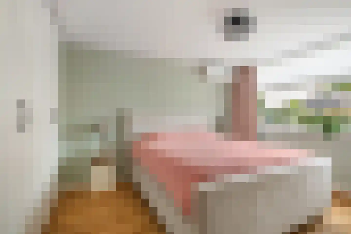 Kamerlingh Onnesstraat 11 Nieuwerkerk aan den IJssel thumbnail 13