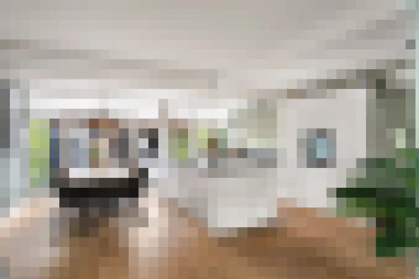 Kamerlingh Onnesstraat 11 Nieuwerkerk aan den IJssel thumbnail 5