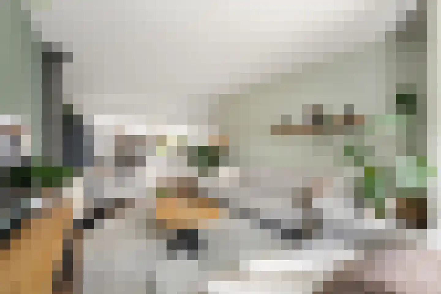 Kamerlingh Onnesstraat 11 Nieuwerkerk aan den IJssel thumbnail 6