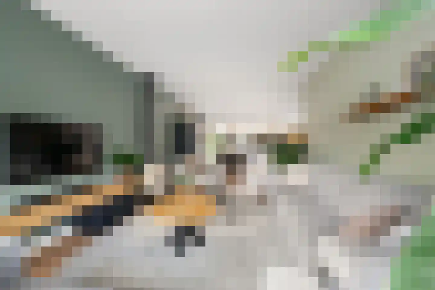 Kamerlingh Onnesstraat 11 Nieuwerkerk aan den IJssel thumbnail 8