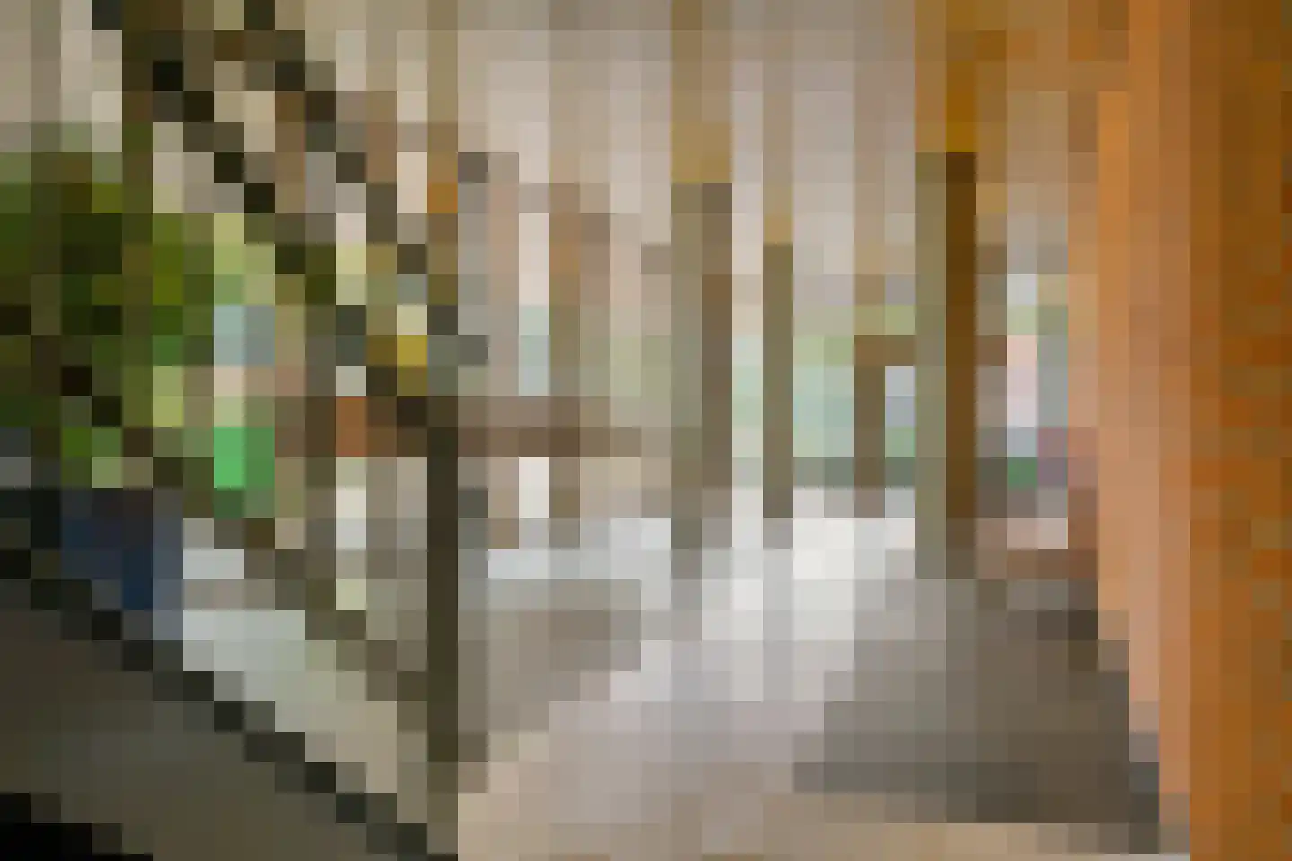 Kamerlingh Onnesstraat 110 Amstelveen thumbnail 27