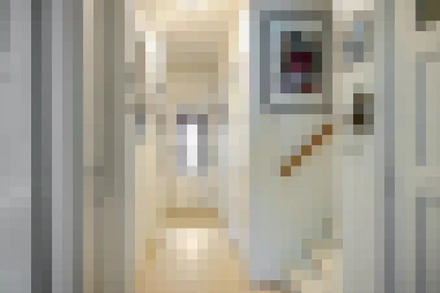 Kamerlingh Onnesstraat 12 Groningen thumbnail 6