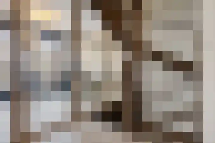 Kamerlingh Onnesstraat 12 's-Hertogenbosch thumbnail 15
