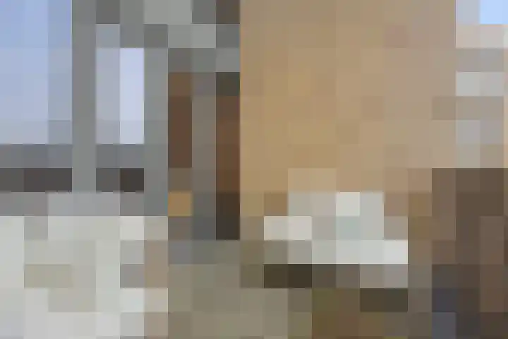 Kamerlingh Onnesstraat 12 's-Hertogenbosch thumbnail 20