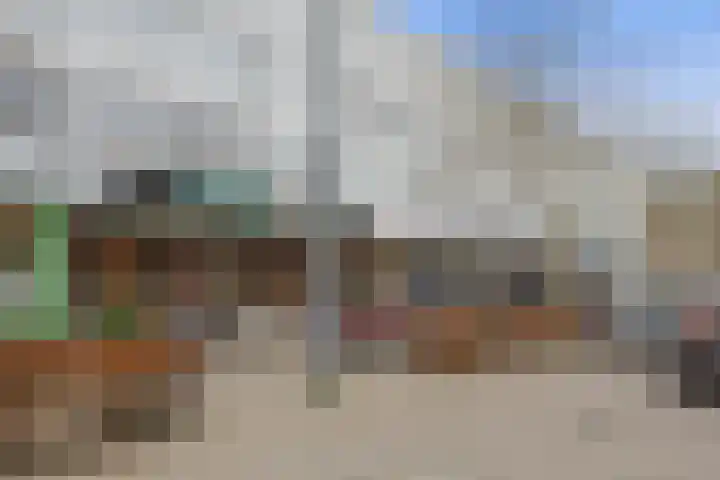 Kamerlingh Onnesstraat 12 's-Hertogenbosch thumbnail 35
