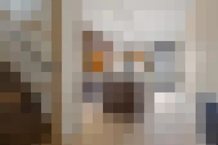 Kamerlingh Onnesstraat 12 's-Hertogenbosch thumbnail 7