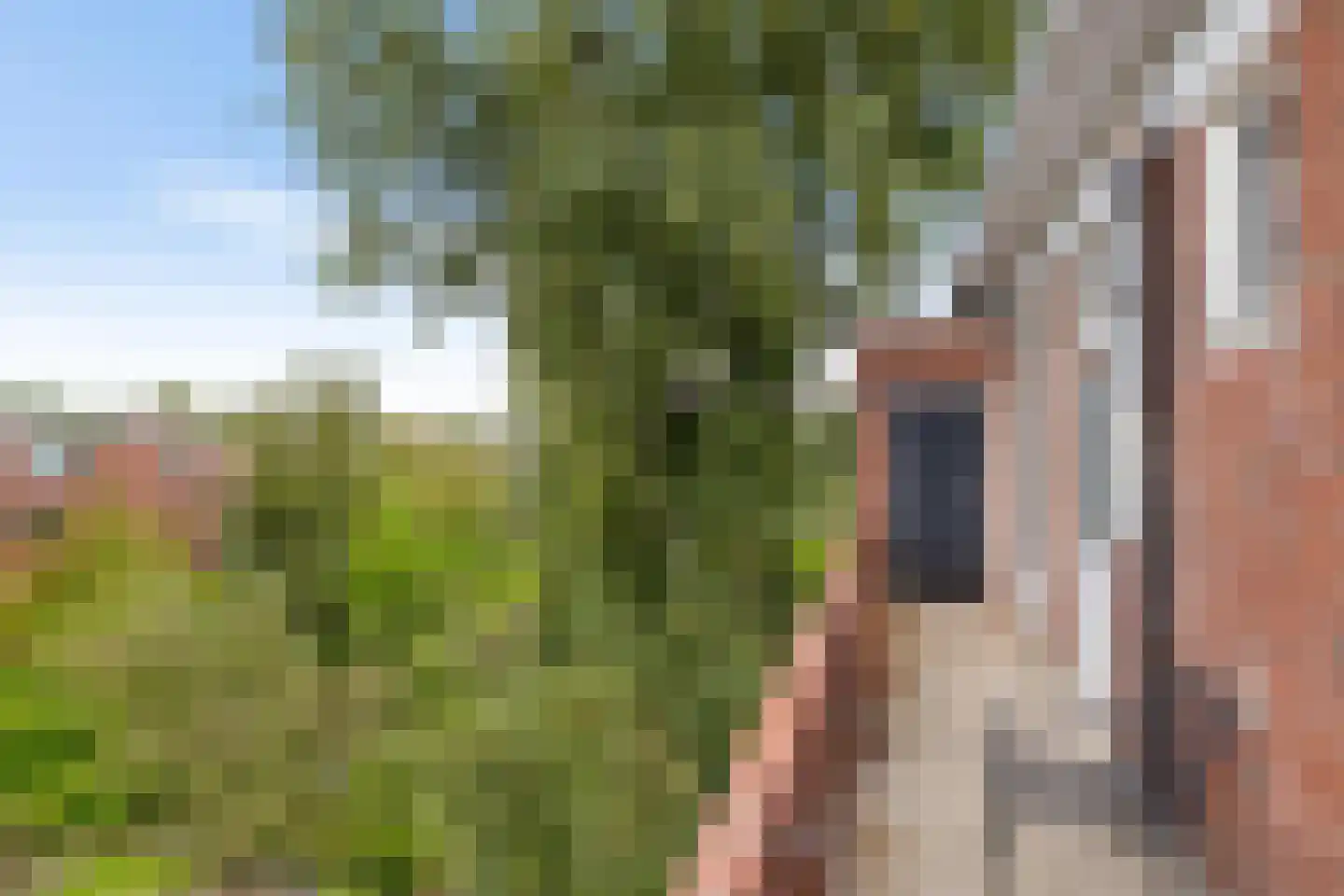 Kamerlingh Onnesstraat 123 Groningen thumbnail 22