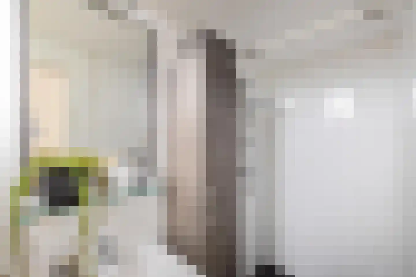 Kamerlingh Onnesstraat 123 Groningen thumbnail 27